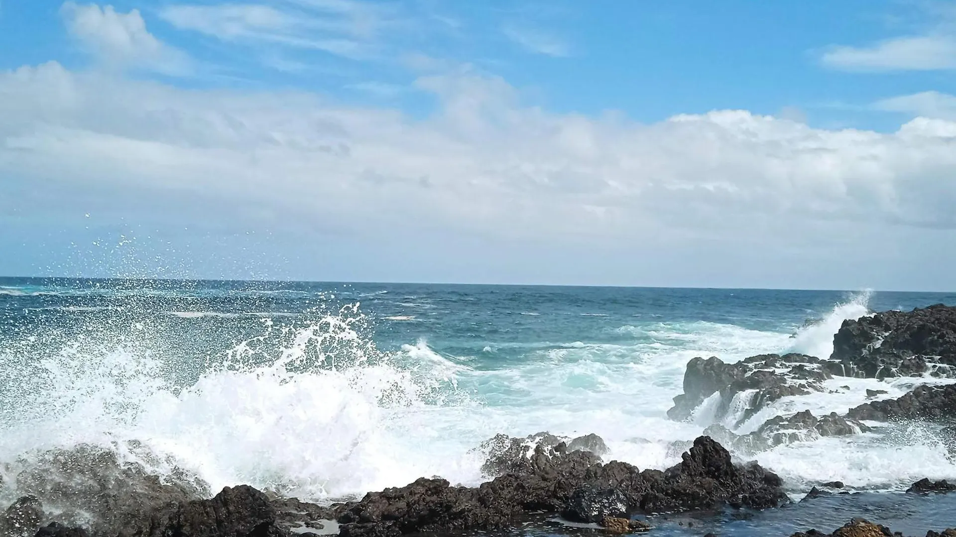 게스트하우스 Un Jardin Al Mar 호텔 Genovés 스페인