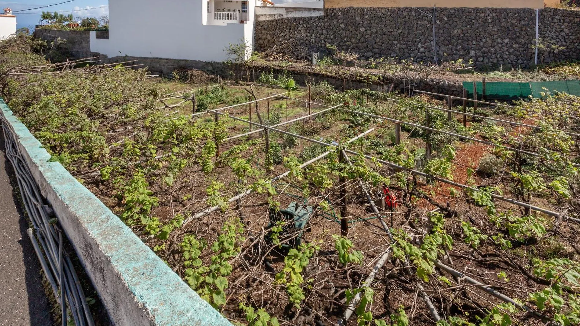 Un Jardin Al Mar Hotel Genoves Guest house